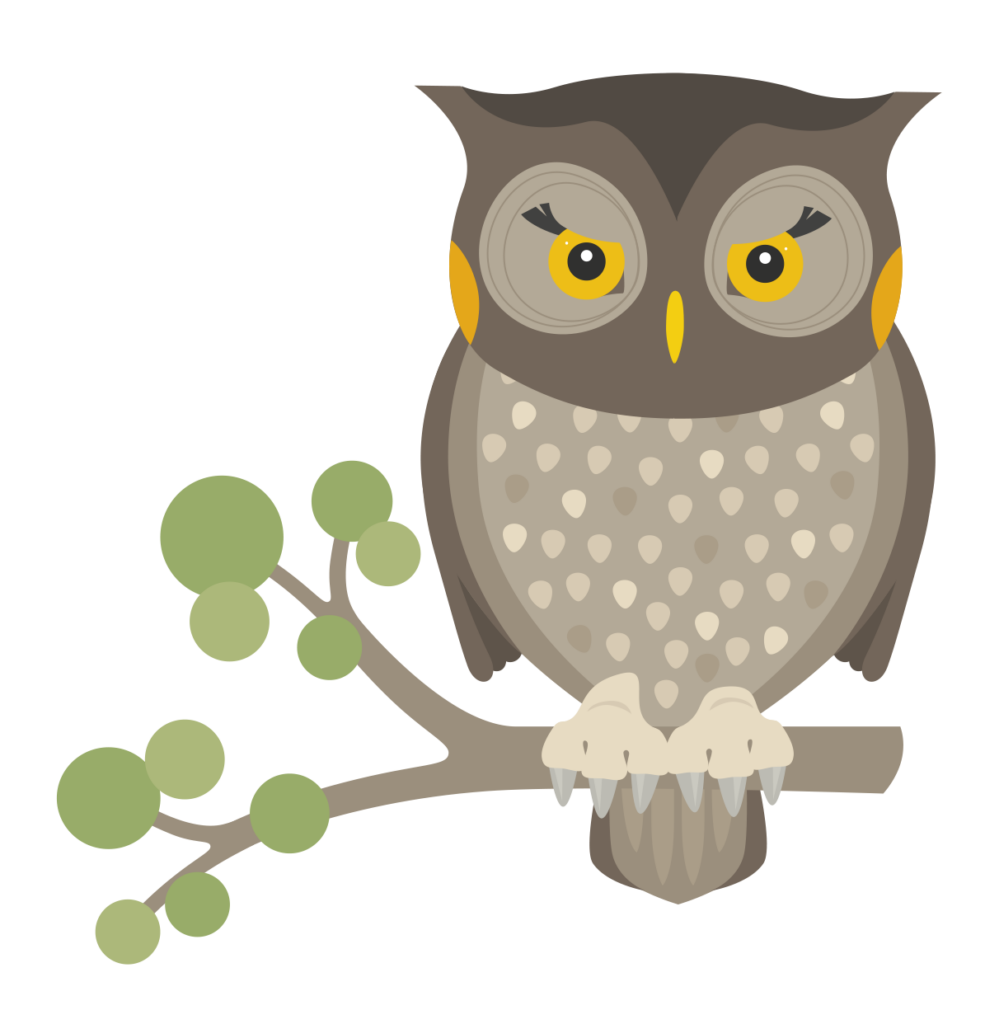 Pöllö istuu oksalla ja tuijottaa eteenpäin.