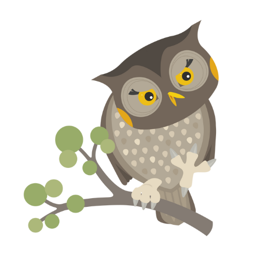 Pöllö istuu oksalla ja kuikuilee.