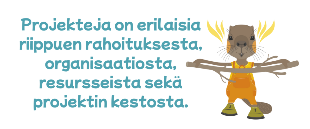 Projekteja on erilaisia riippuen rahoituksesta, organisaatiosta, resursseista sekä projektin kestosta.